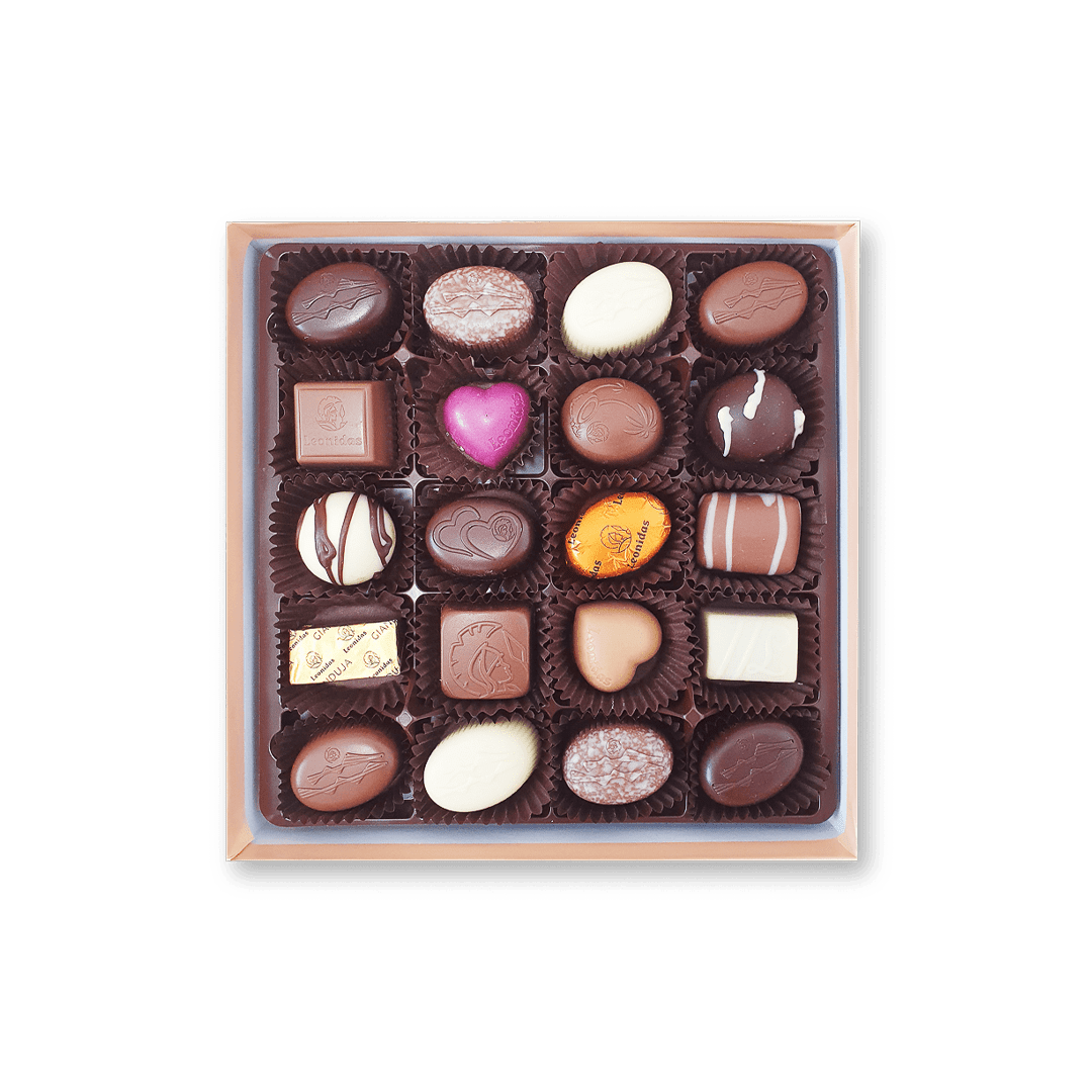 zanzibar summer open