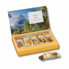 Ceai Single Steeps Paradis 15p Eco