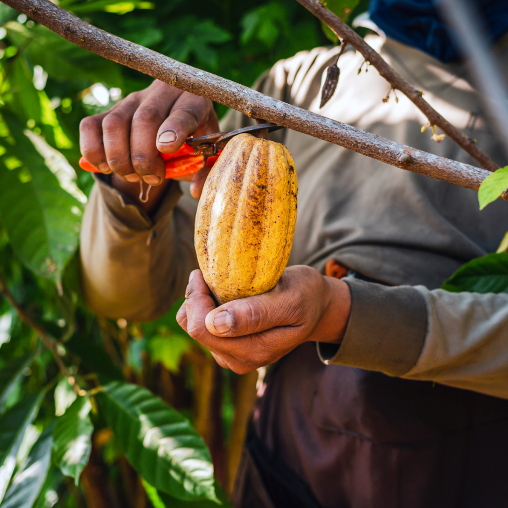 Fermierii primesc un venit echitabil și au condiții de viață decente.