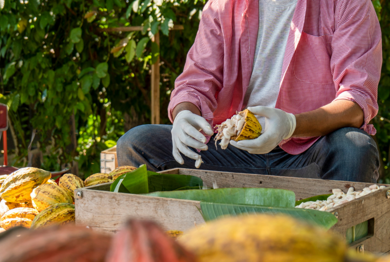 Leonidas contribuie concret la combaterea defrișărilor, respectarea drepturilor omului (inclusiv interzicerea muncii copiilor) și la creșterea randamentului agricol.